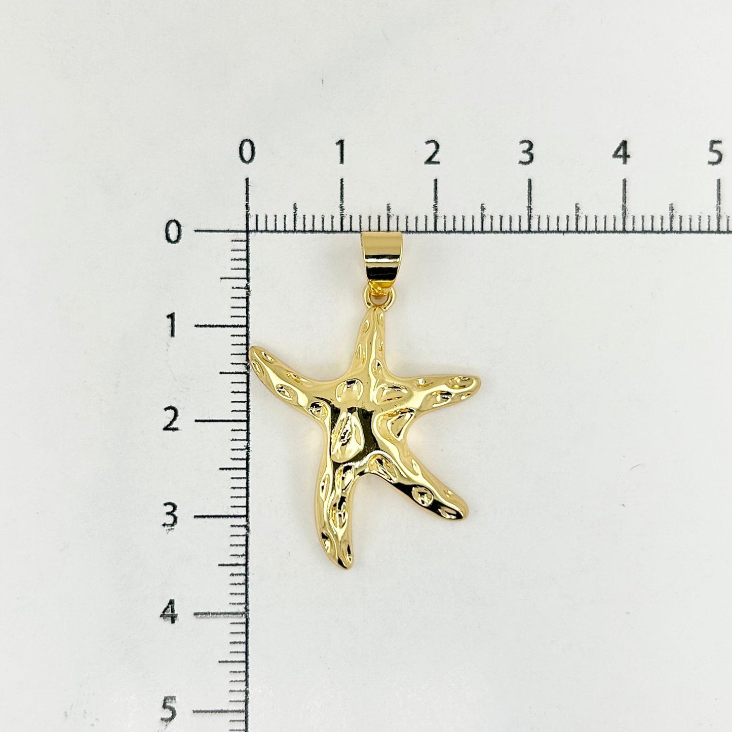 DIJE ESTRELLA DE MAR