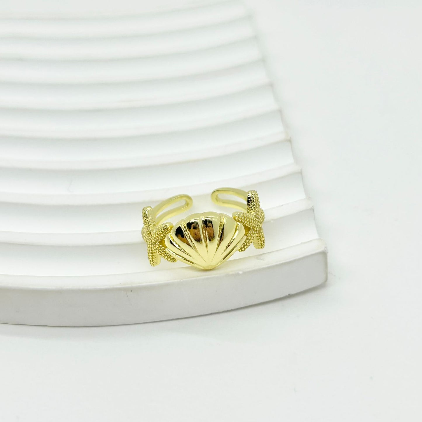 ANILLO CHONCHA