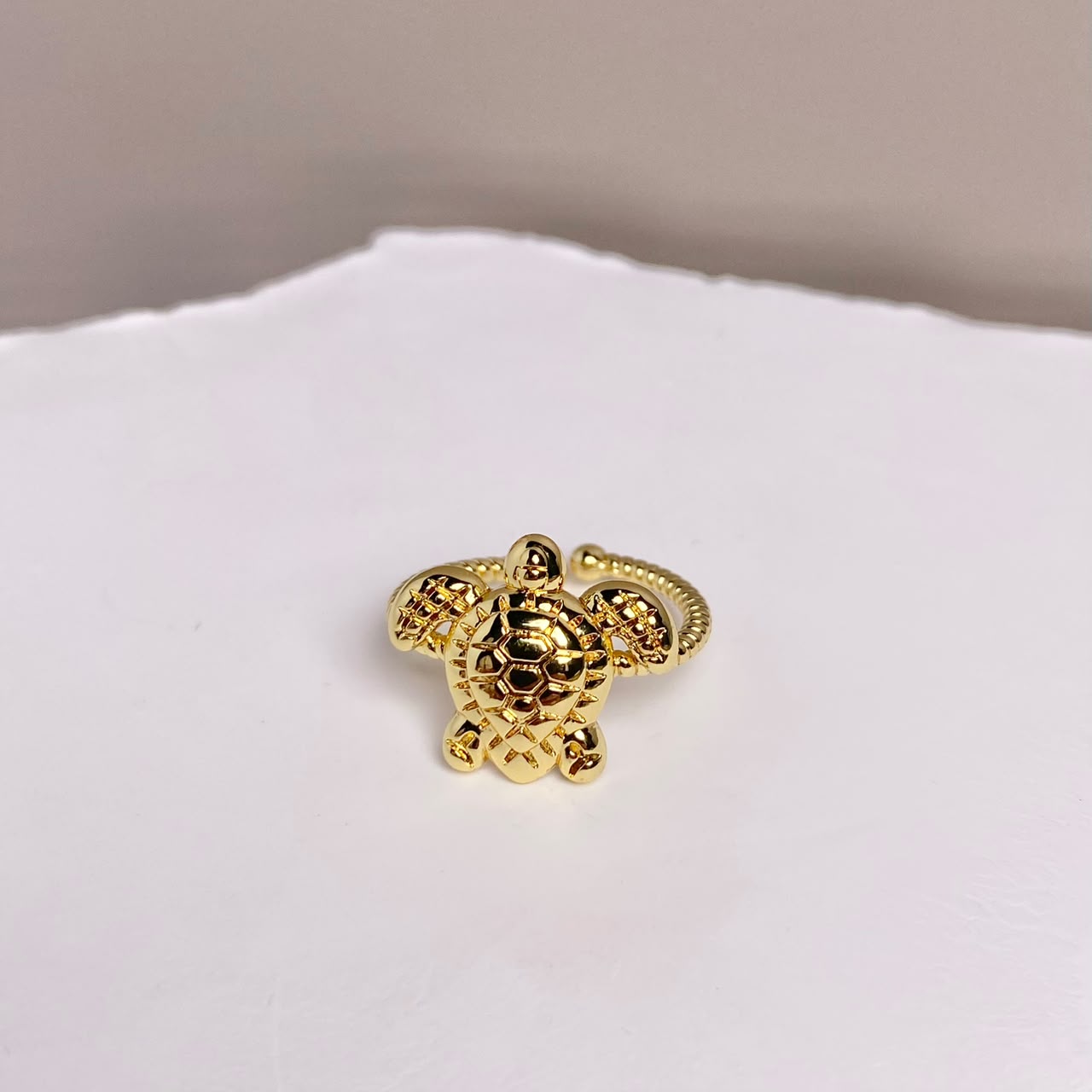 ANILLO TORTUGA