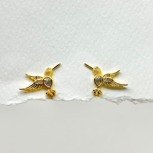 TOPO COLIBRI