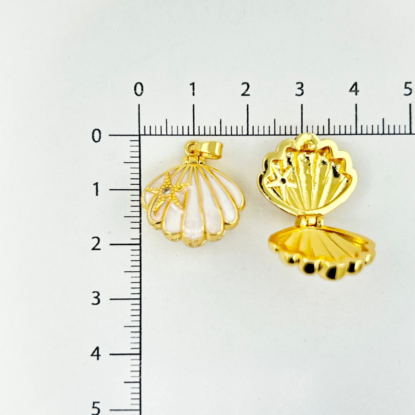 DIJE RELICARIO CONCHA DE MAR BLANCA