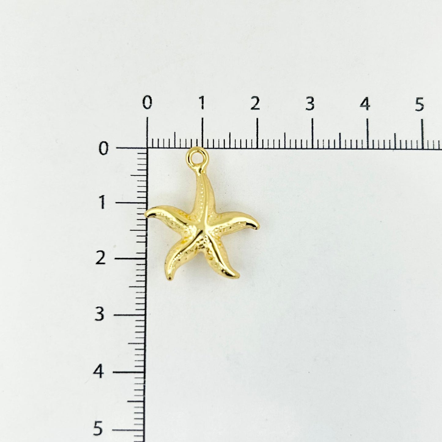 DIJE ESTRELLA DE MAR 3D