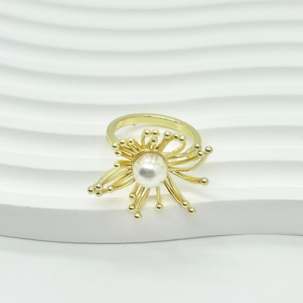 ANILLO