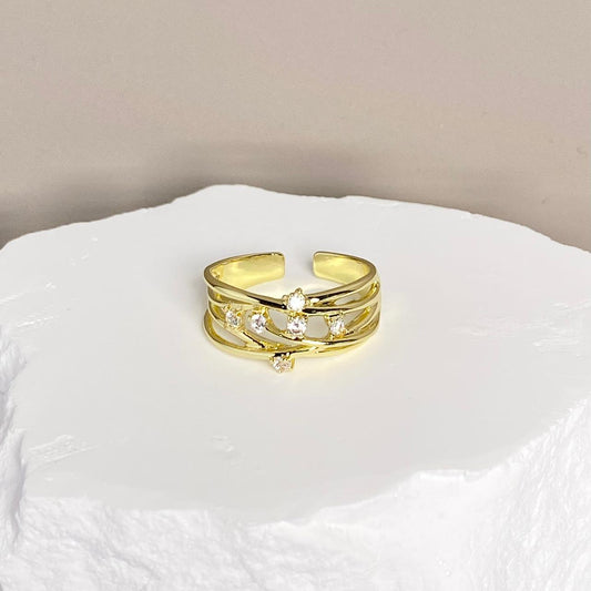 ANILLO LINEAS