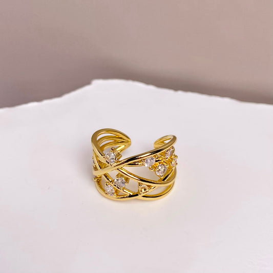 ANILLO CIRCONES