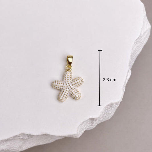 DIJE ESTRELLA DE MAR